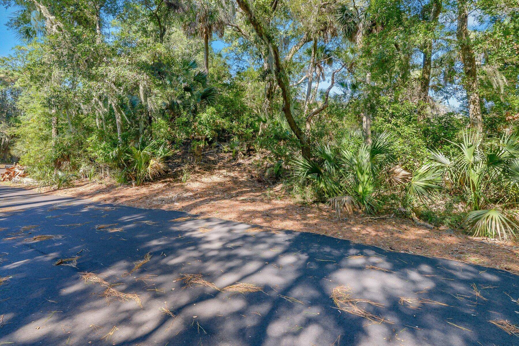 Edisto Island, SC 29438,535 Oristo Ridge Rd