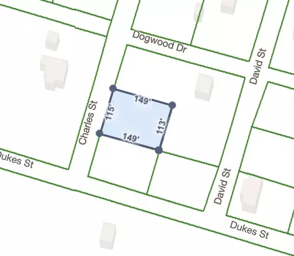 Saint George, SC 29477,0 Charles St