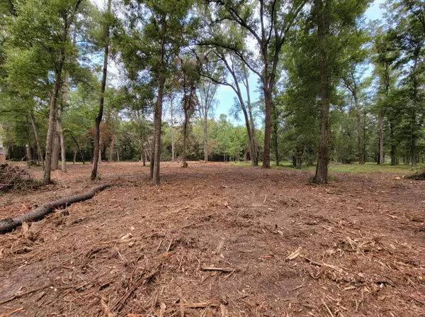 Edisto Island, SC 29438,7743 Chaplin Garden Ln