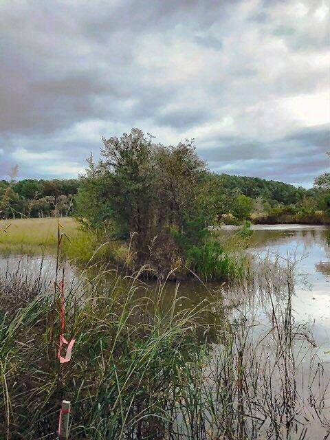 Johns Island, SC 29455,0 Old Pond Rd