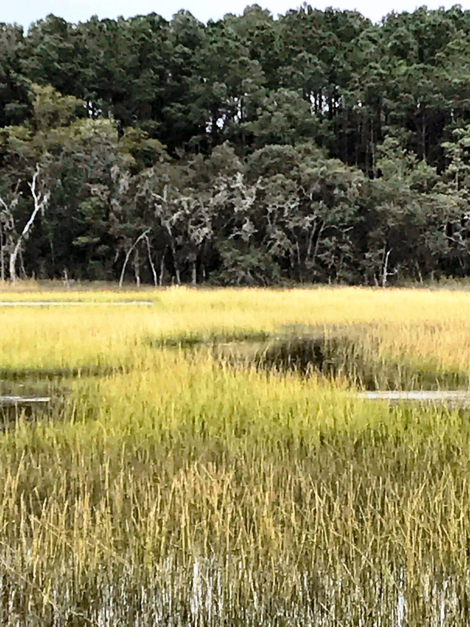 Johns Island, SC 29455,0 Old Pond Rd