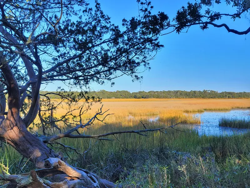 121 Jungle Rd, Edisto Island, SC 29438