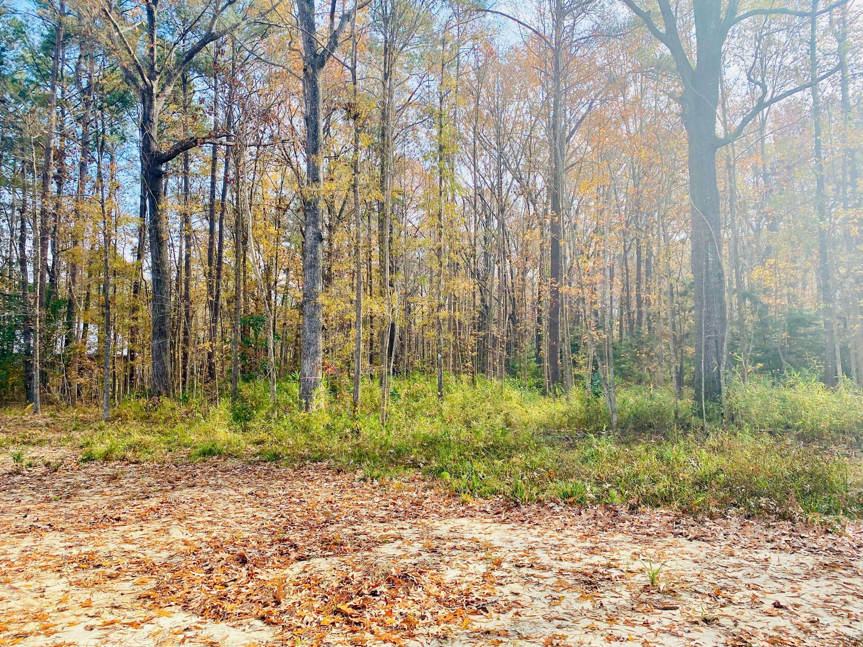 Moncks Corner, SC 29461,1070 O T Wallace Blvd
