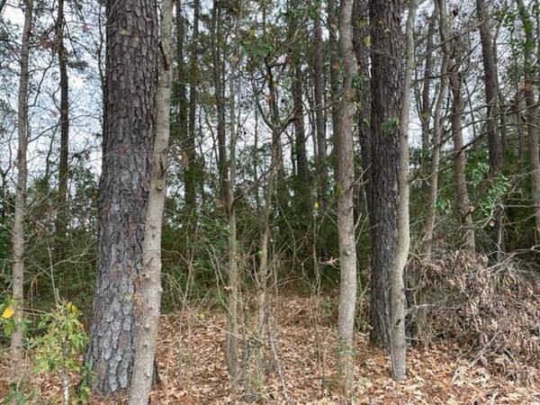 Lot 24 Dennis Dr, Goose Creek, SC 29445