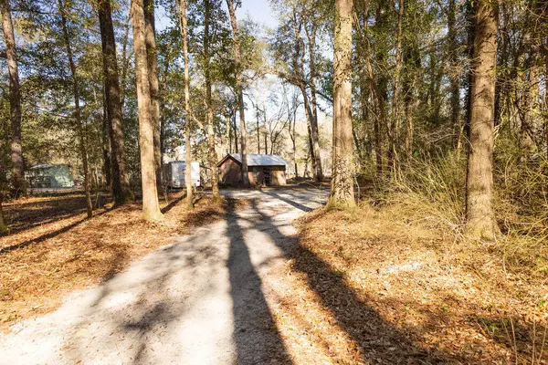 Round O, SC 29474,78 Badger Ln