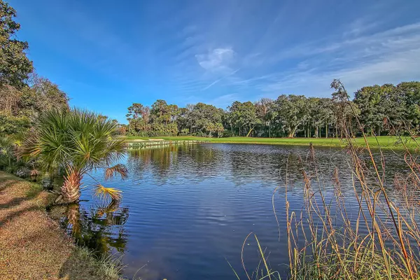 Kiawah Island, SC 29455,4910 Green Dolphin Way