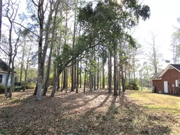 Lot Myrtlewood Dr, Santee, SC 29142