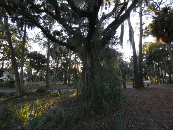 Edisto Beach, SC 29438,869 Club Cottage Rd