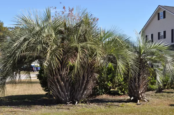 Summerville, SC 29483,101 Jupiter Ln