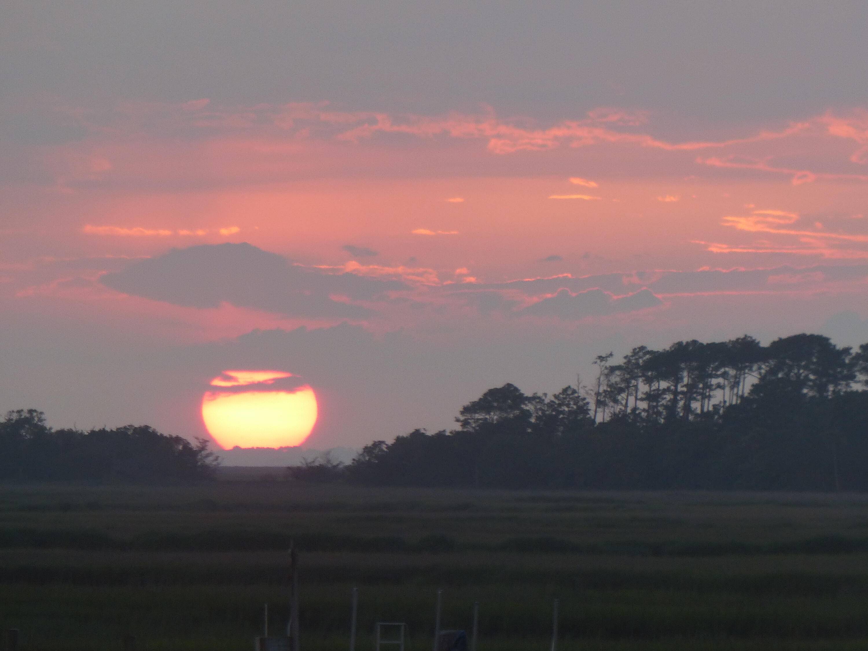 Seabrook Island, SC 29455,3135 Laughing Gull Ct