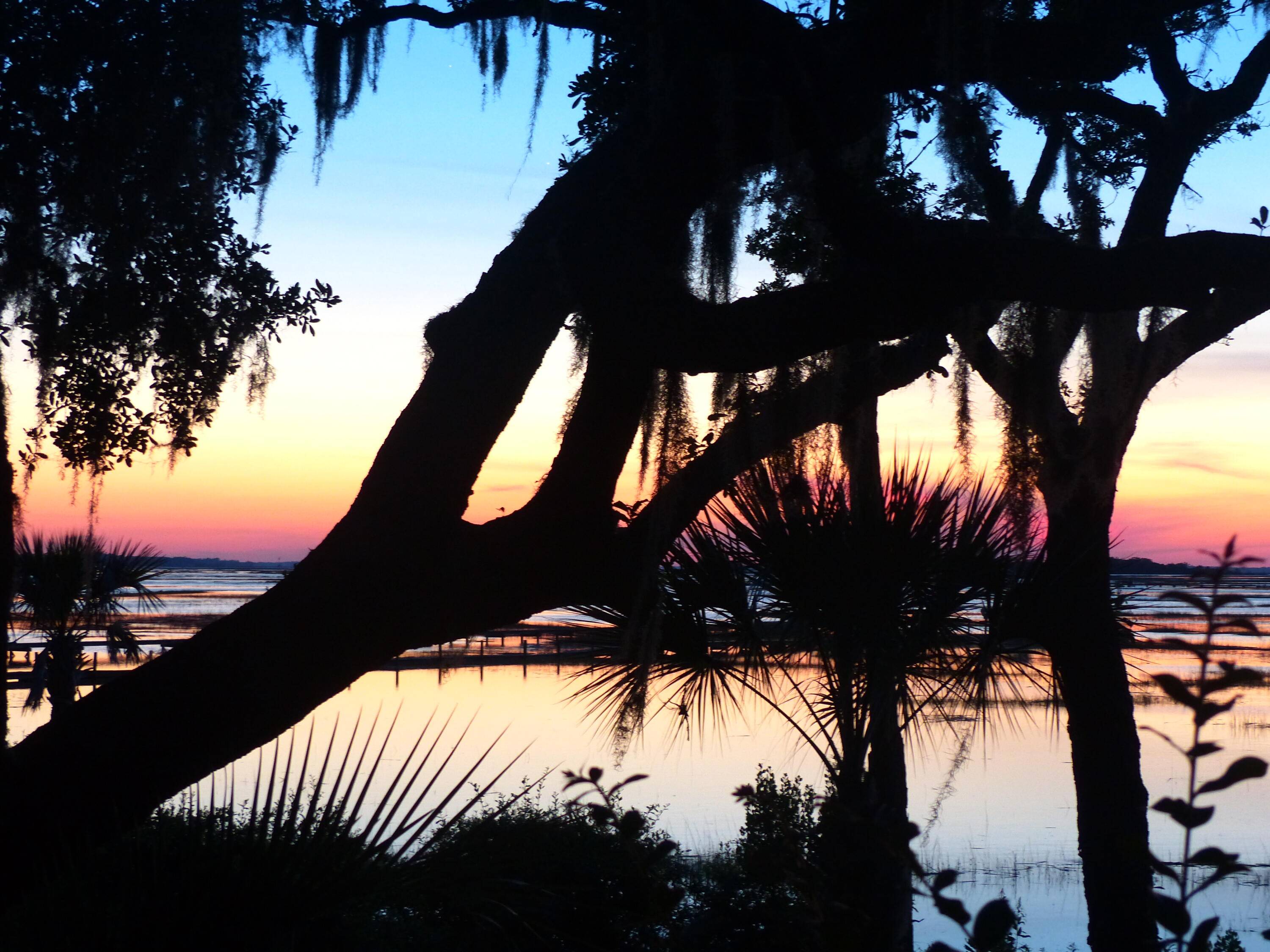 Seabrook Island, SC 29455,3135 Laughing Gull Ct