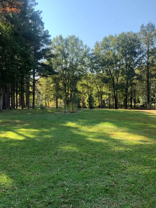 Summerton, SC 29148,Lot #18/19 Haynesworth Mill Cir