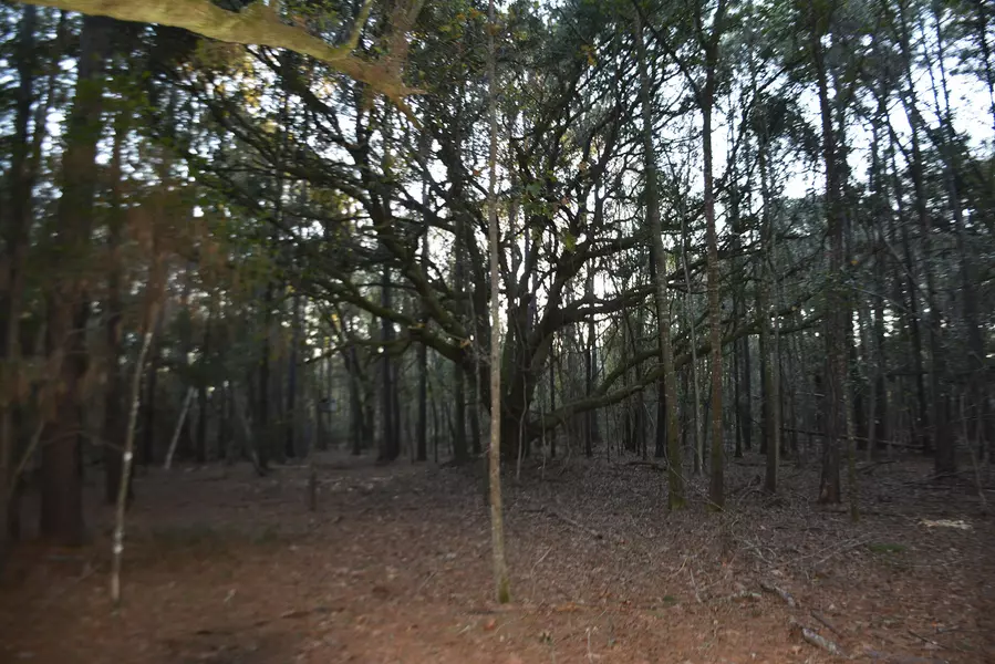 2 Red House Rd, Edisto Island, SC 29438