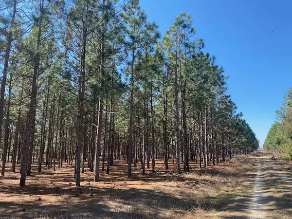 Springfield, SC 29146,0 Beechwood Rd