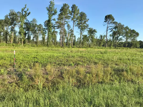 Lot 10-C Cranbrook Dr, Holly Hill, SC 29059