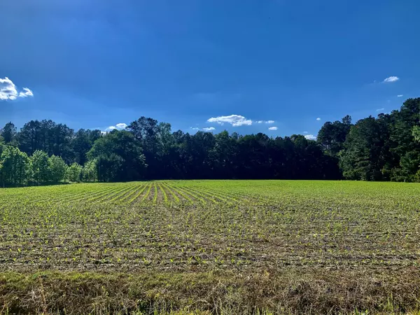 Harleyville, SC 29448,906 2nd Bend Rd