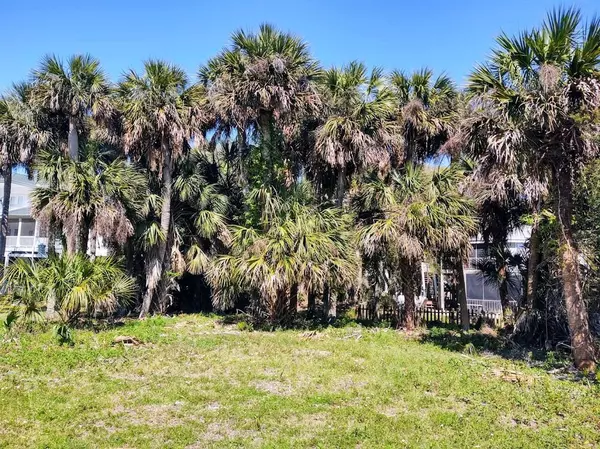 Edisto Beach, SC 29438,611 Palmetto Blvd