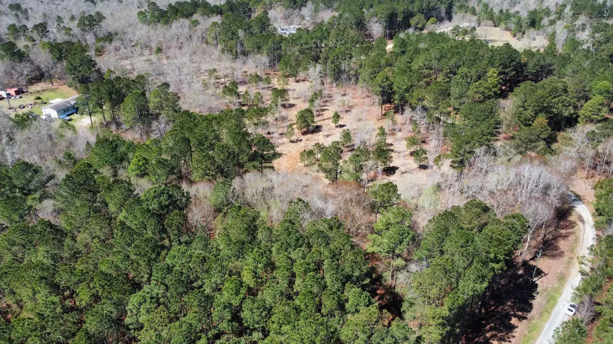 Saint Stephen, SC 29479,160 Wisteria Falls Trl