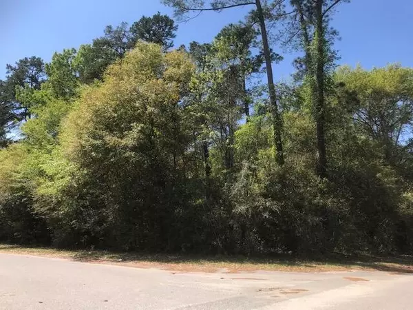 Lot 33 Driftwood Dr, Eutawville, SC 29048