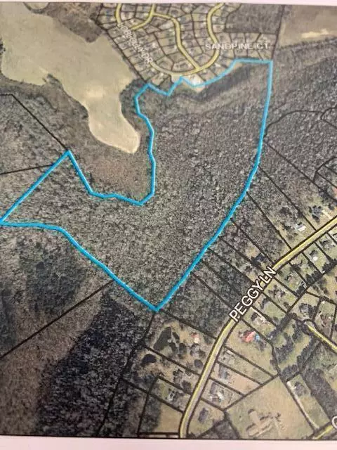 Na Haseldon Dr, Manning, SC 29102