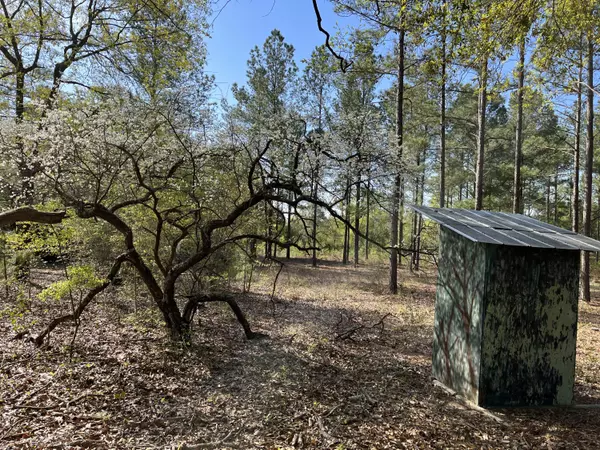 Cameron, SC 29030,Tbd Vice Road