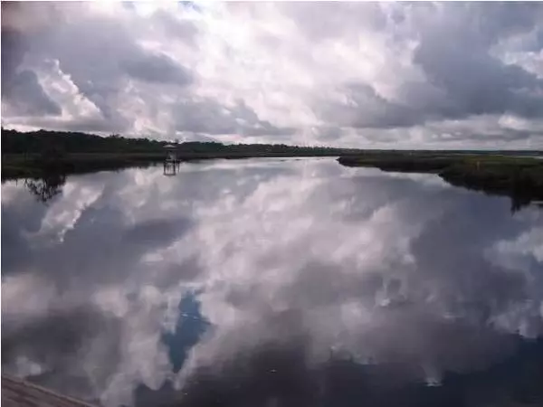 Ravenel, SC 29470,16 Leaning Oak Ln