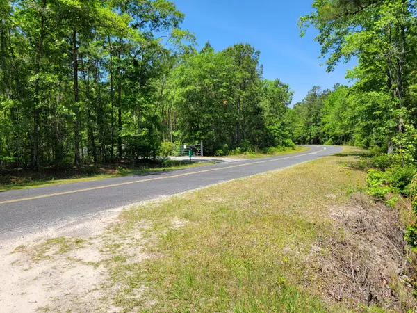 Saint Stephen, SC 29479,0 Snakeman Lane