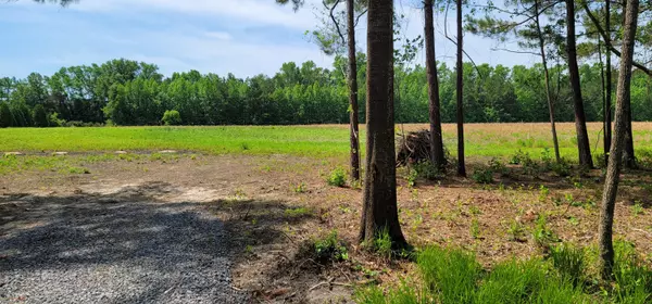 Ridgeville, SC 29472,0 Myers Mayo Rd
