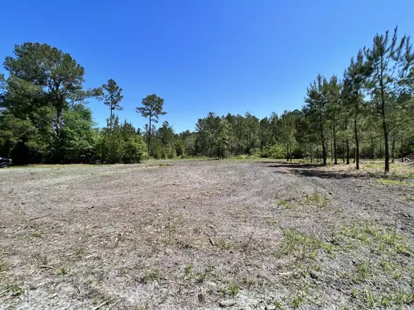 8020 Canebranch Rd, Ruffin, SC 29475