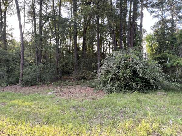 0 George & Trinity St, Walterboro, SC 29488