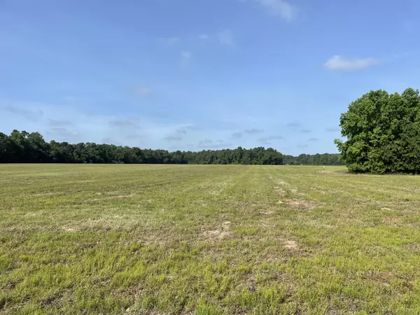 Ridgeville, SC 29472,2291 Old Gilliard Road