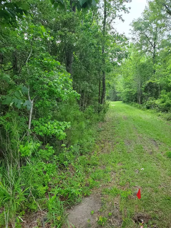 Harleyville, SC 29448,0 First Bend Rd