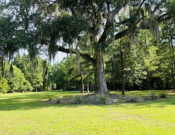 0 Liberia Rd #Lot #20,  Wadmalaw Island,  SC 29487