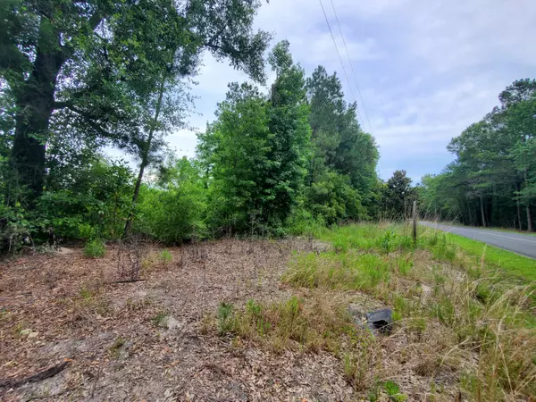Saint George, SC 29477,0 Second Texas Rd