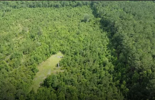 Bonneau, SC 29431,141 Marion Woods Trl