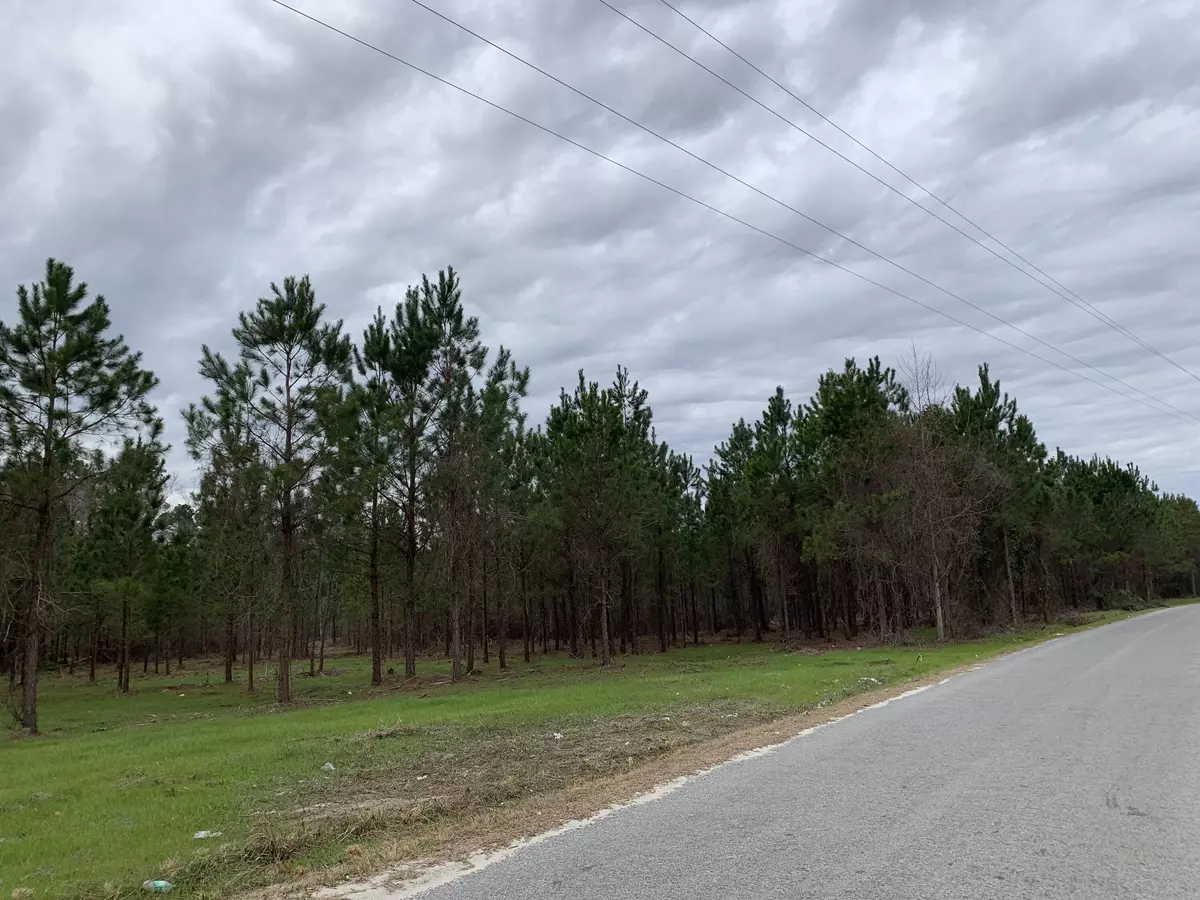 Reevesville, SC 29471,Lot 4 Harley Rd