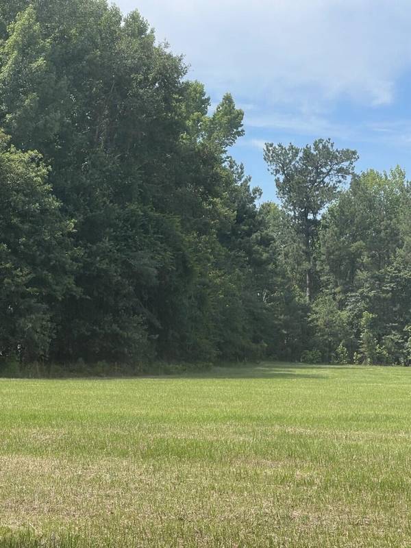 0 Mt Carmel Rd Interior Parcel Rd, Walterboro, SC 29488