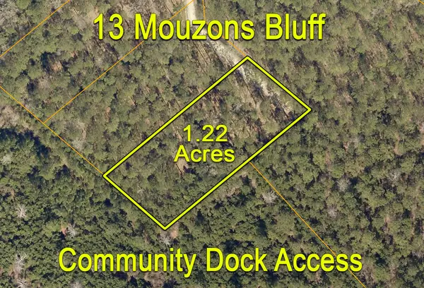 13 Mouzons Bluff Rd, Mcclellanville, SC 29458