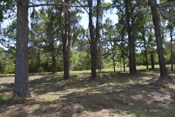 40 Blackbear Dr #Lot 40, Edisto Island, SC 29438