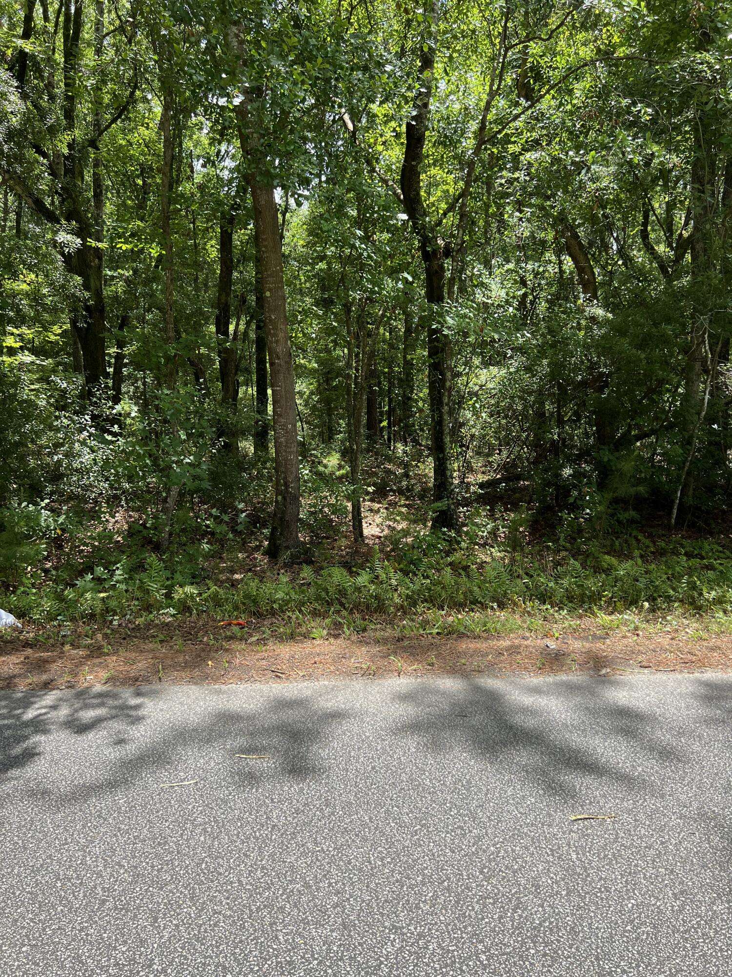 Charleston, SC 29401,00 Cane Slash Road