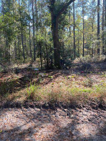 Ridgeville, SC 29472,0 La Dolce Avenue
