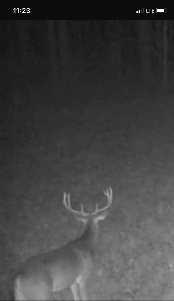 Pineville, SC 29468,0 Edgewater Rd