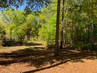 Tbd Patsy St, Summerton, SC 29148