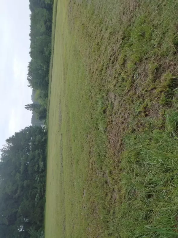 000 Torrington Rd, Eutawville, SC 29048