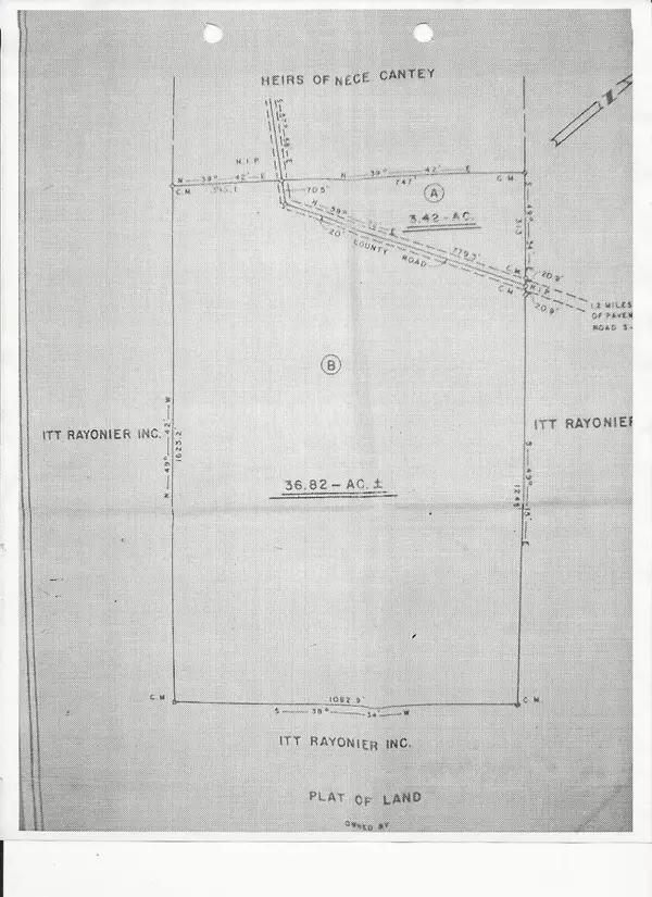 Greeleyville, SC 29056,00 Old Forreston Rd