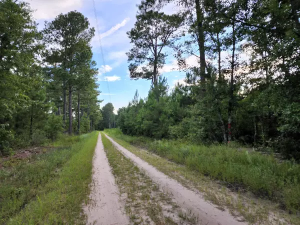 Greeleyville, SC 29056,00 Old Forreston Rd