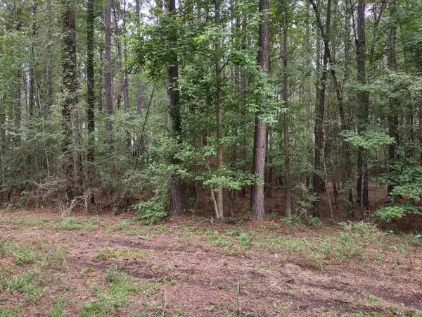 Alvin, SC 29479,0 Jessie Dr