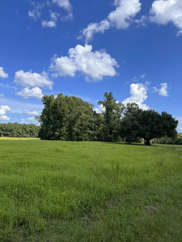 Bonneau, SC 29431,136 Rossie Gatlin Ln