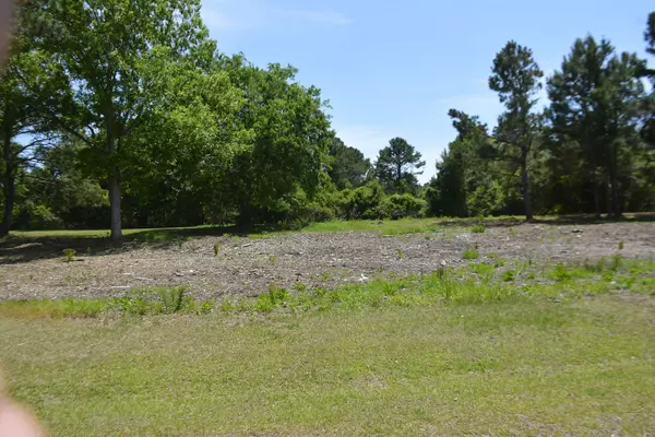 Edisto Island, SC 29438,43 Blackbear Rd