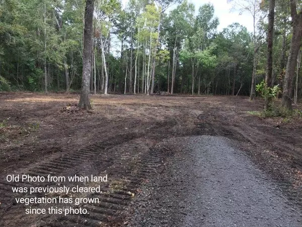 Mcclellanville, SC 29458,10725 N Hwy 17